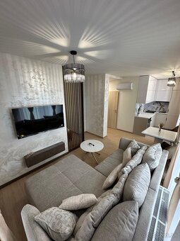 Na prenájom apartmán krátkodobo/dlhodobo so záhradou - 4
