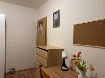 Prenajmem peknu izbu vo veľkom byte s terasou - 4