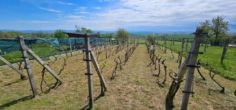 Rekreačná záhradná chatka, Kočín - 4