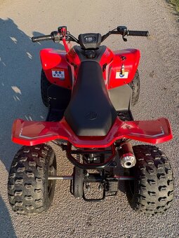 Štvorkolka 110 cf moto - 4