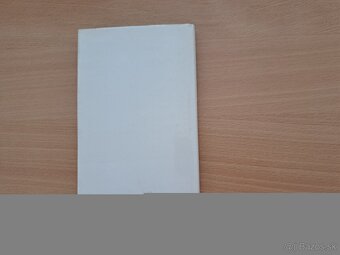 Franz Kafka: Nezvěstný (Amerika) - 4