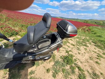 honda FJS 400D - 4