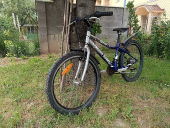 Bike Kenzel - 4