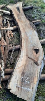 Orechové fošne - 4