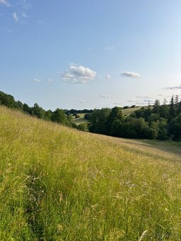 Predám pozemok 8 100 m² – Horná Mičiná - 4