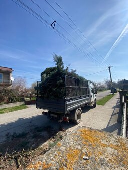 Odvoz odpadu / vypratávanie / Búranie - 4