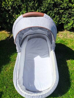 Bebetto Luca 2019 - 4