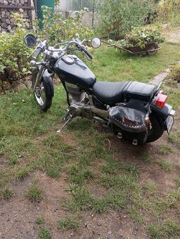 Suzuki Ls650 Savage - 4