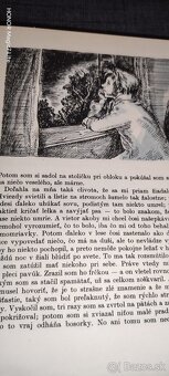 Dobrodružstvá Huckleberryho Finna - 4