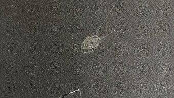 Predám akustické penové panely - 4