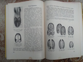 Poľovníctvo I. - 4