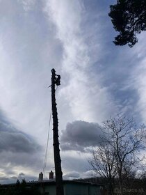 Výrub stromov, pílenie stromov, orez stromov, arboristika - 4