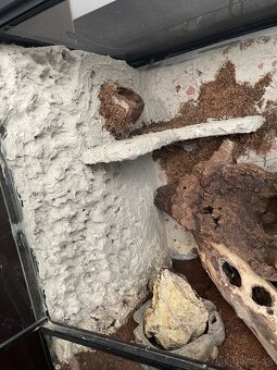 Terárium RP 60x60x45 - 4