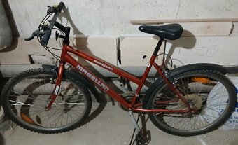 Dámsky a pánsky bicykel - 4