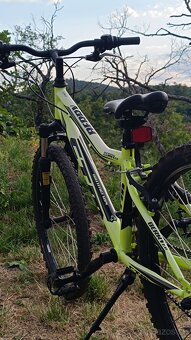 MTB 24 CTM Berry 2.0 - 4