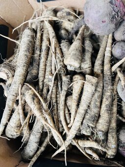 Domáca cibuľa, mrkva, petržlen - 4