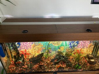 Akvarium komplet so skrinkou a prislusenstvom - 4