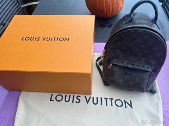 Louis Vuitton Palm Springs PM Backpack - 4