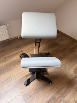 ERGONOMICKA STOLICKA NESEDA - 4