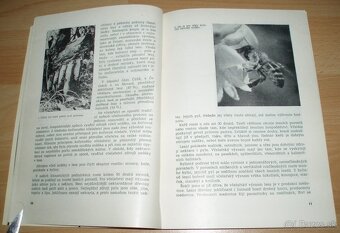 Medovice a včely - 4