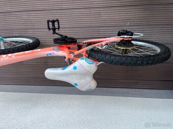 Dievcensky bicykel Harry Lolly, 20 - 4