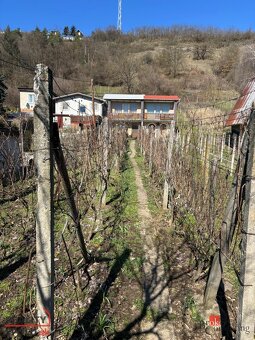 Viničná chatka na predaj - 4