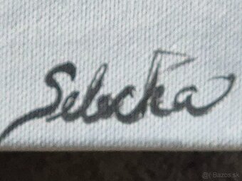 Dive maky olej/akryl? na platne signovany Selecka - 4