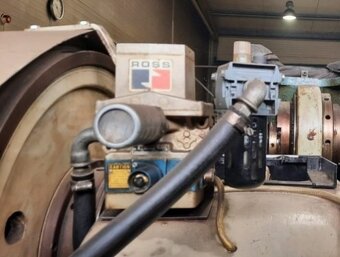 Lis FPF 2 ze Švédska, r. v. 1962 - 4