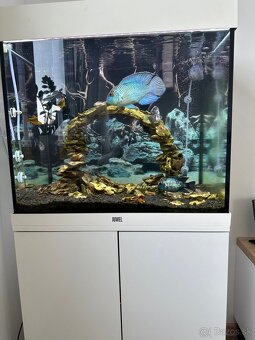 Akvárium juwel 120l - 4