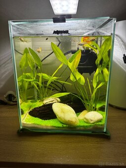 Akvarium Aquael 20l - 4