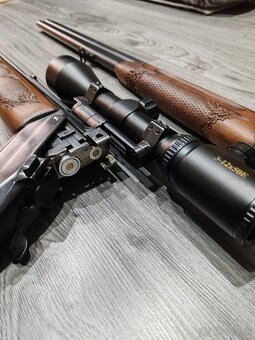 Gulobroková kozlica - 4