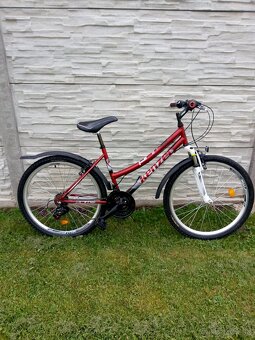 Bicykel dievčenský - detský - 4