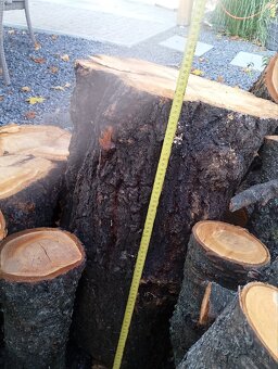 Čerešňové drevo - 4