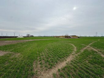 Investičný pozemok 28 249 m² neďaleko Trnavy na predaj - 4