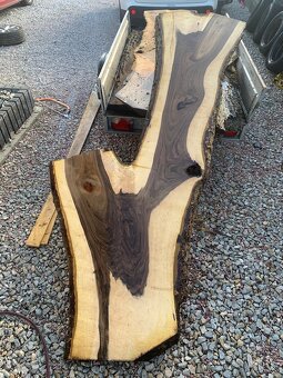 Orechove forsne z krásnou kresbou - 4