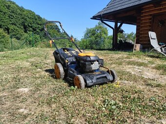 Riwall Pro - 4