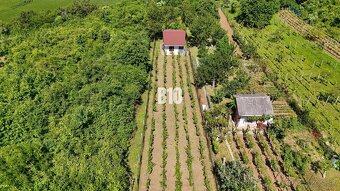 Vinica na skok od Nitry + chata - 590 m2 - 4