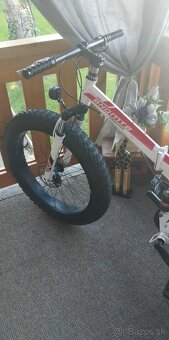 Fat Bike - 4