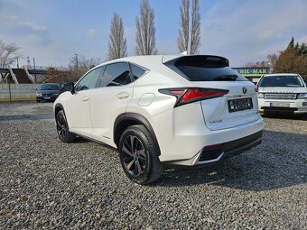 Lexus NX Serie 300h AWD Sport Line - 4