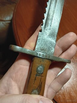 Svajciarsky bodak - 4