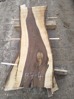 Predám vysušené orechové fošne - 8 cm hrubé - 4