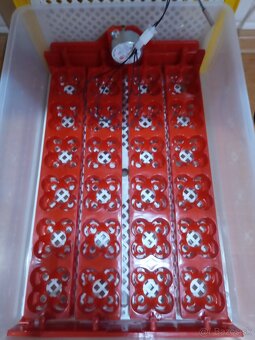 Liahen automat - 4