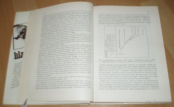 Hlavátka - 4