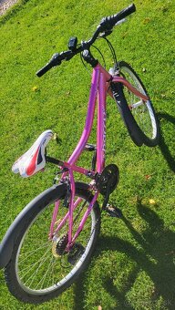Detský bicykel Harry 24 - 4