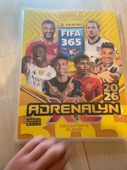 Futbalové karty - 4