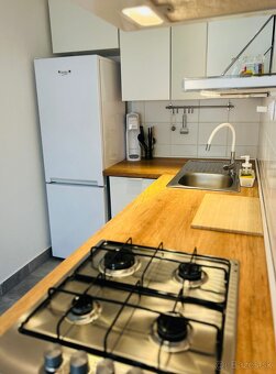 KRÁSNY 2 IZBOVÝ BYT s podielom NA PREDZÁHRADKE V RADOVEJ ZÁS - 4