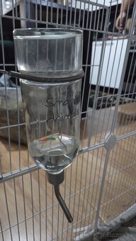 zakrslý králik - 4