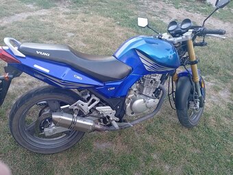 Yuki - 4