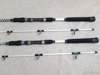 Predam udice Dragon Boat Master offshore jig 2,45m 80-250g - 4