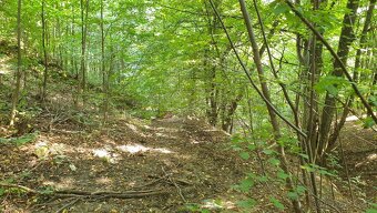 Revúca – 2.479 m2 LES – PREDAJ - 4